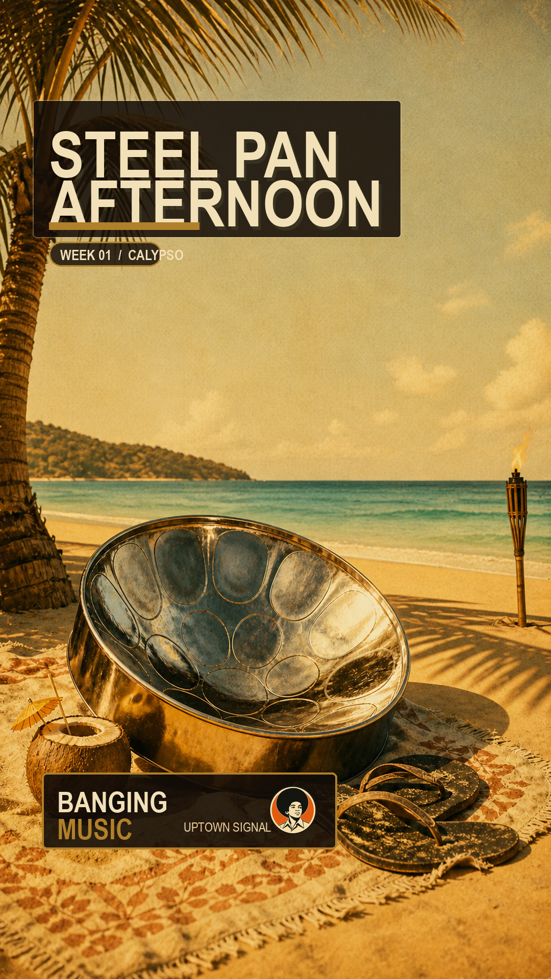 Steel Pan Afternoon cover