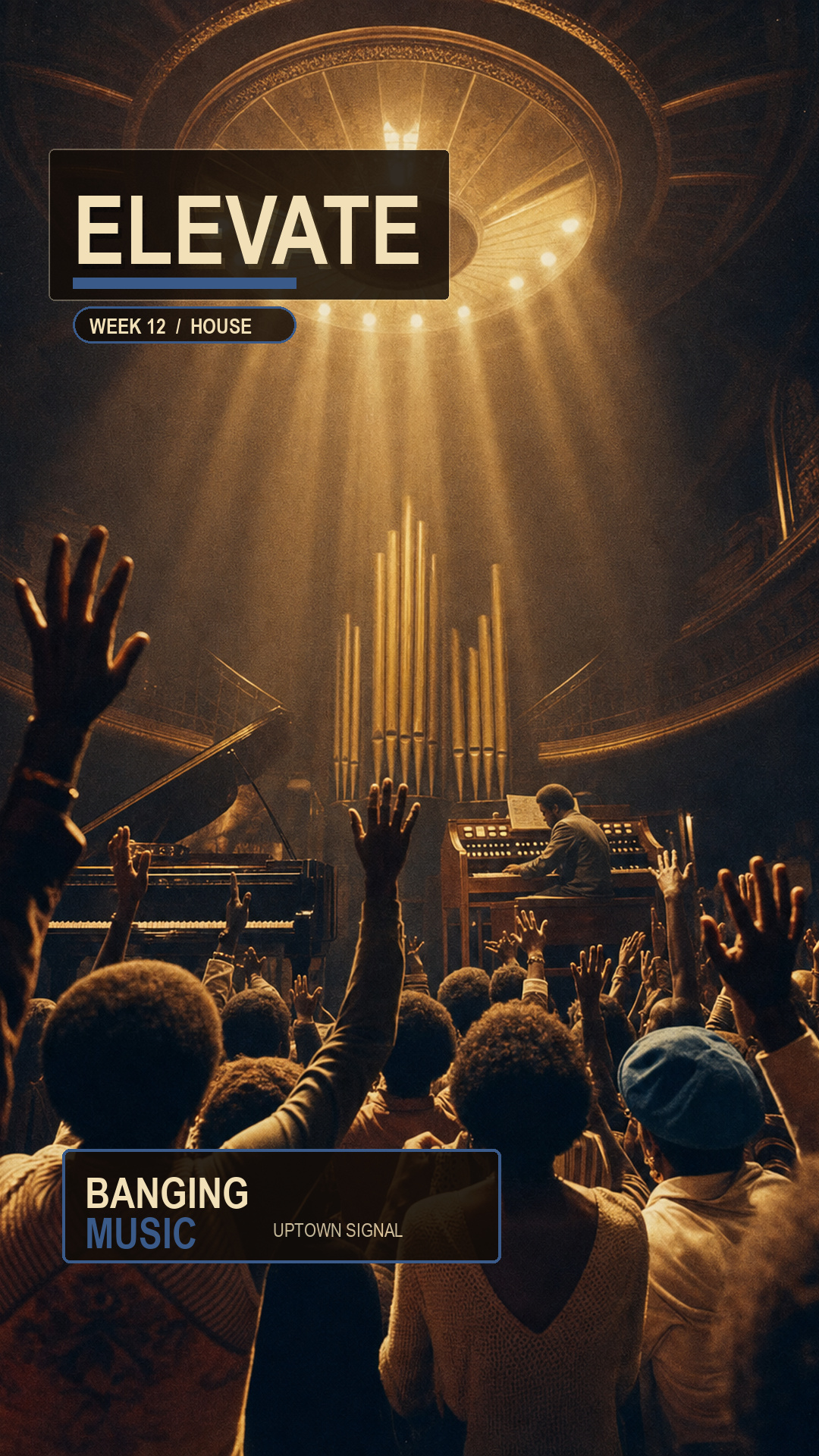 Elevate cover